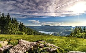 Waldklang Titisee