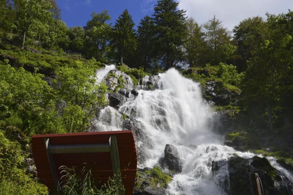 Waldklang Titisee Exterior foto