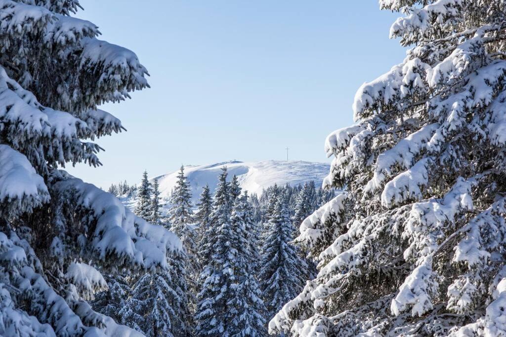 Waldklang Titisee Exterior foto